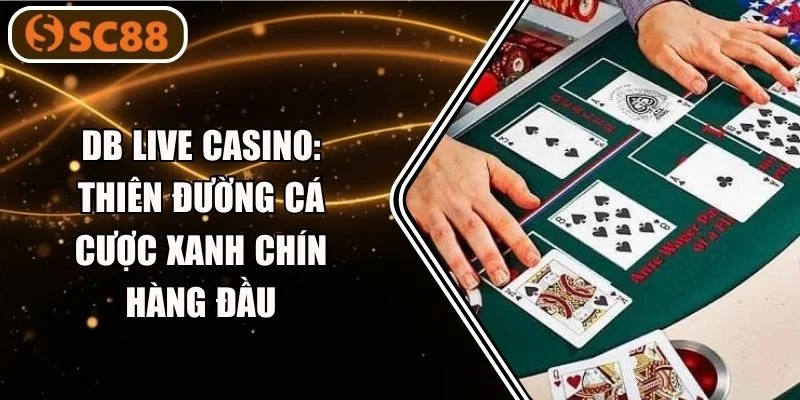 DB Live Casino: Thiên Đường Cá Cược Xanh Chín Hàng Đầu