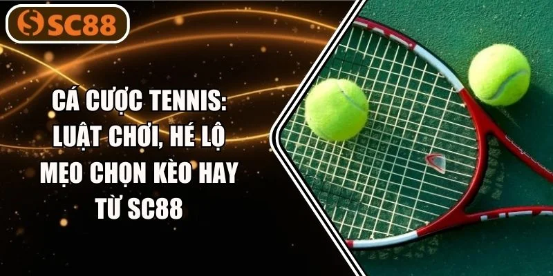 Cá Cược Tennis: Luật Chơi, Hé Lộ Mẹo Chọn Kèo Hay Từ SC88