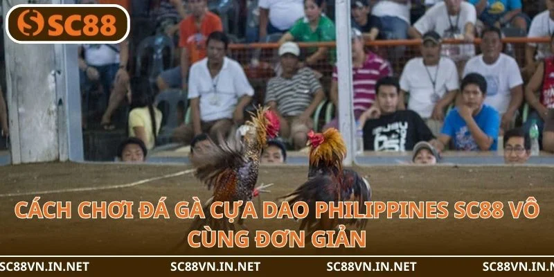 Cách chơi đá gà cựa dao philippines SC88 vô cùng đơn giản.