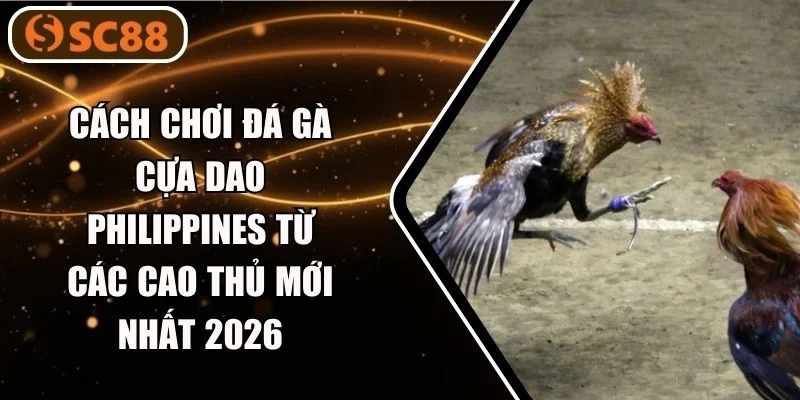 Cách Chơi Đá Gà Cựa Dao Philippines Từ Các Cao Thủ 2026