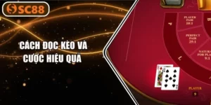 Cách Đọc Kèo Và Cược Hiệu Quả Trên Bàn Chơi Game Bài SC88
