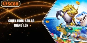 7+ Chiến Lược Bắn Cá Thắng Lớn Được Ngư Thủ SC88 Hé Lộ