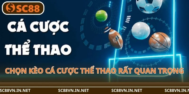 Chọn kèo trong cá cược thể thao rất quan trọng.