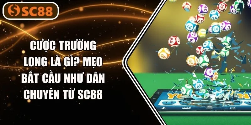 Cược Trường Long Là Gì? Mẹo Bắt Cầu Như Dân Chuyên Từ SC88