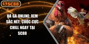 Đá Gà Online: Xem Sắc Nét, Cược Cực Chill Ngay Tại SC88