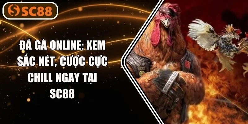 Đá Gà Online: Xem Sắc Nét, Cược Cực Chill Ngay Tại SC88
