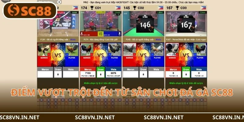 03 hình thức giúp đá gà SC88 vững bước trên thị trường quốc tế.