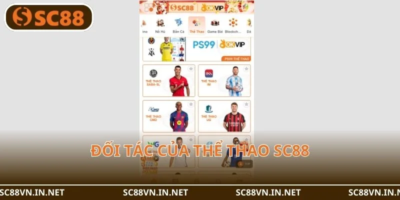 Danh sách những nhà cung cấp đình đám tại trang web