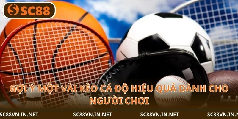 Gợi ý một vài kèo cá độ hiệu quả dành cho người chơi.