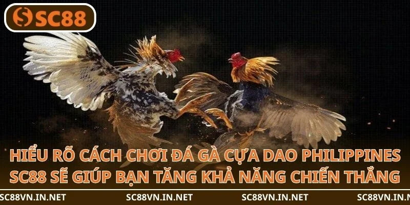 Hiểu rõ cách chơi đá gà cựa dao philippines SC88 sẽ giúp bạn tăng khả năng chiến thắng.