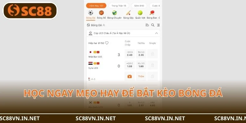 Học ngay mẹo hay để bắt kèo bóng đá cực chuẩn tại SC88.