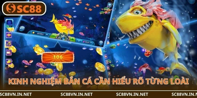 Kinh nghiệm bắn cá cần hiểu rõ đặc tính từng loài.