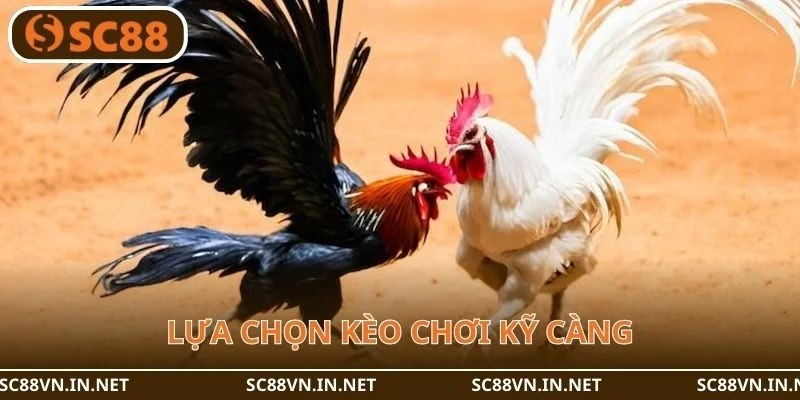 Người chơi nên lựa chọn kèo chơi kỹ càng.