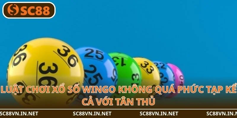 Luật chơi xổ số Wingo không quá phức tạp kể cả với tân thủ.