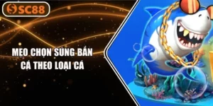 Mẹo Chọn Súng Bắn Cá Theo Loại Cá: 3+ Kỹ Năng Cốt Lõi