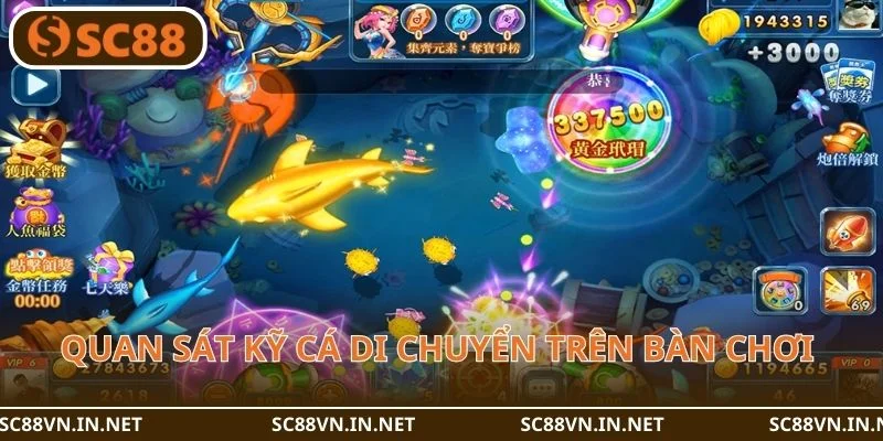 Quan sát kỹ cá di chuyển trên bàn chơi để khóa mục tiêu.