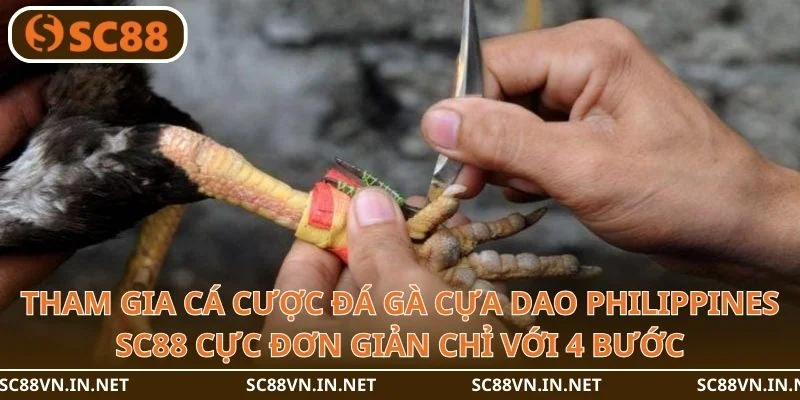 Tham gia cá cược đá gà cựa dao philippines SC88 cực đơn giản chỉ với 4 bước.