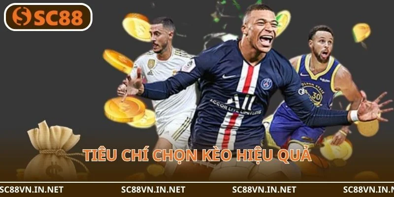 Người chơi nên đặt ra tiêu chí lựa chọn các môn thể thao để cá cược hiệu quả.