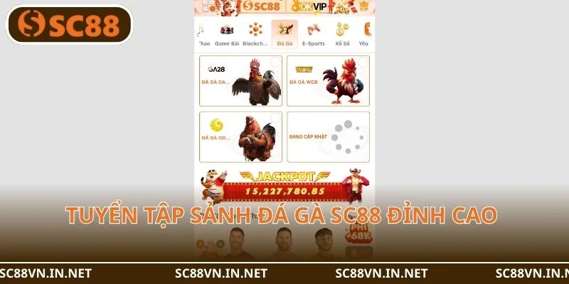 Tuyển tập sảnh đá gà SC88 đỉnh cao mà bạn không thể bỏ qua.